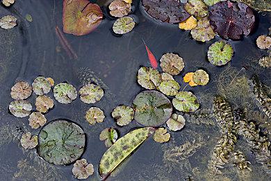 《天神镇》开发商新作《我的幻想乡》 12月9日登陆Steam